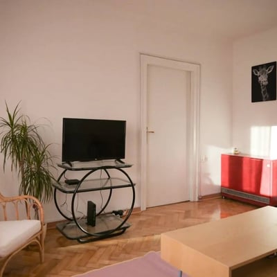 Vermietung einer 2-Zimmer-Wohnung, 50 m², nahe dem Stadtzentrum, Belgrad, Serbien
